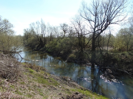  В Немане экологи очистят реку Инструч