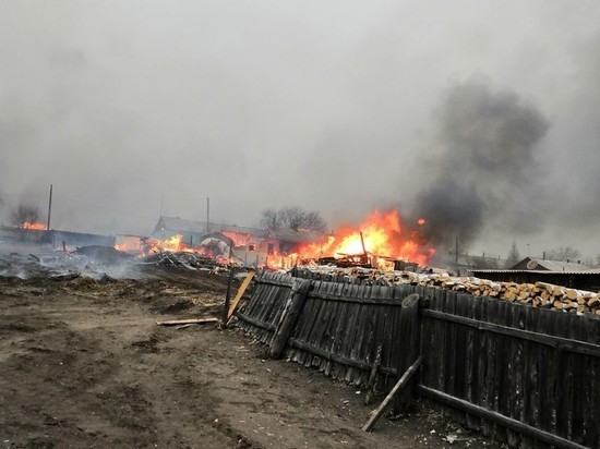 Минздрав сообщил о пятерых пострадавших на пожарах в Забайкалье