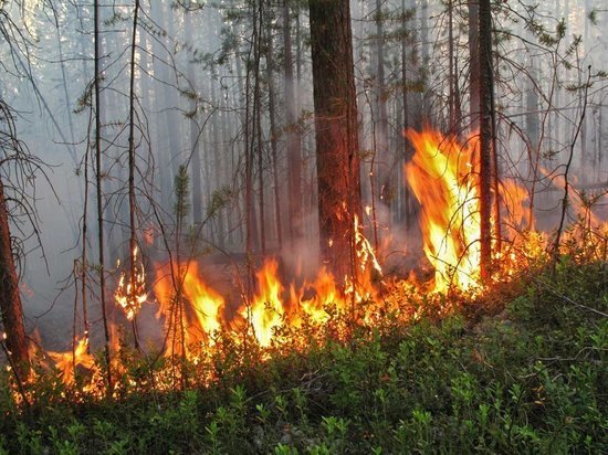 Природные пожары в Забайкалье горят на площади более трёх тысяч га