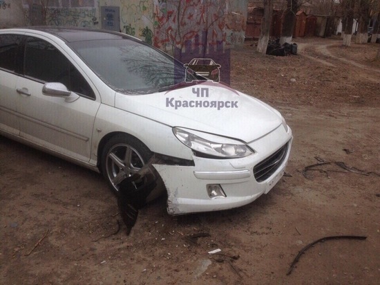 В Красноярске стая собак набросилась на припаркованную машину и отгрызла бампер