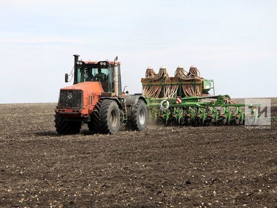 Три района Татарстана завершили подкормку озимых сельхозкультур