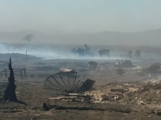 Появились данные о 400 пострадавших из-за пожаров забайкальцах