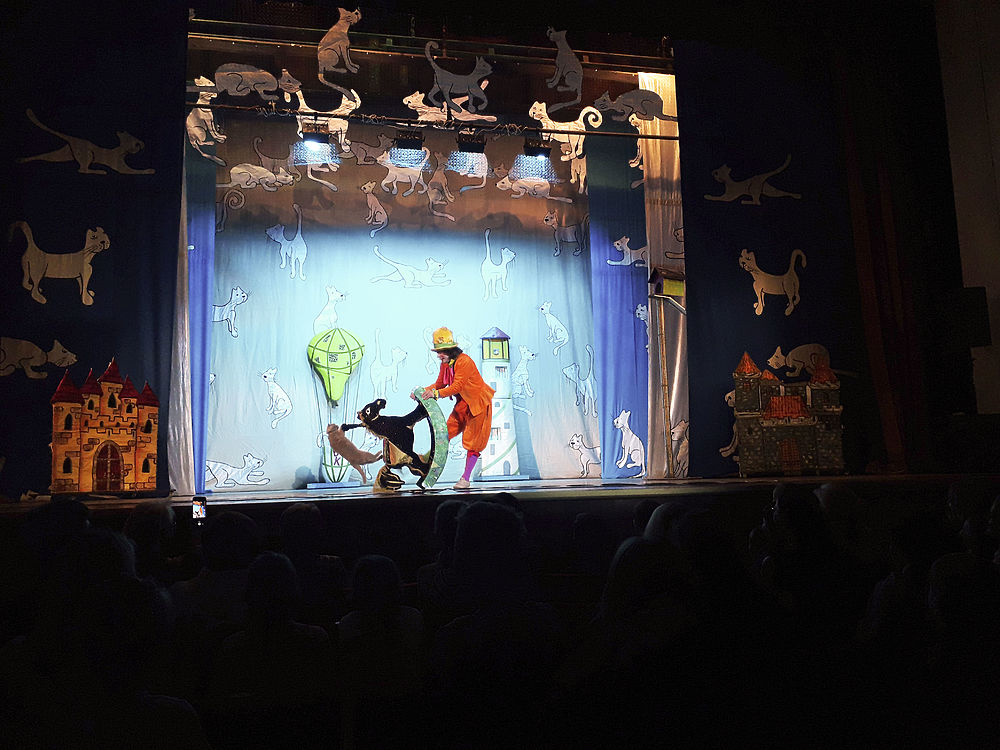 Kuklachev's Cat Theater performed in Vladimir
