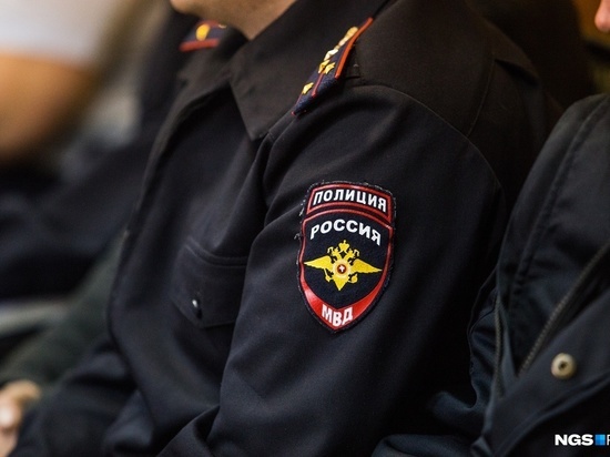Полиция Иркутска поймала подозреваемого в краже роботов-пылесосов