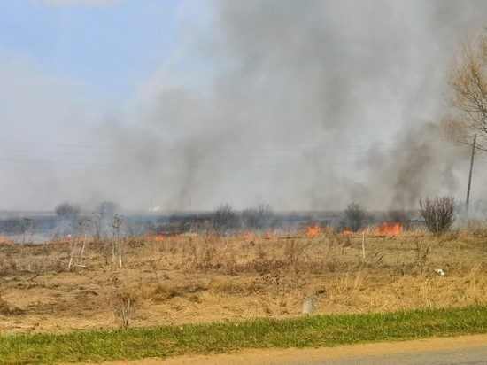 Пал травы в Туле: огонь подбирается к домам