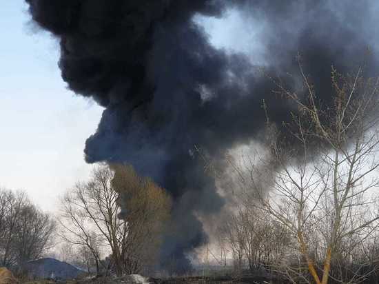 В Товарково Тульской области горит несанкционированная свалка