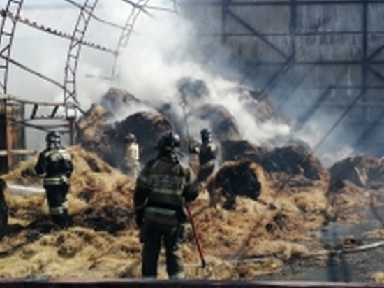 Возгорание в конном клубе произошло в Хабаровске