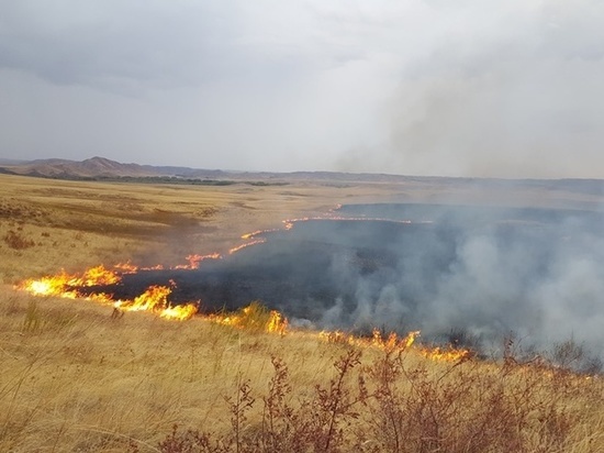 Площадь пожаров в Забайкалье сократилась на 2 тыс гектаров
