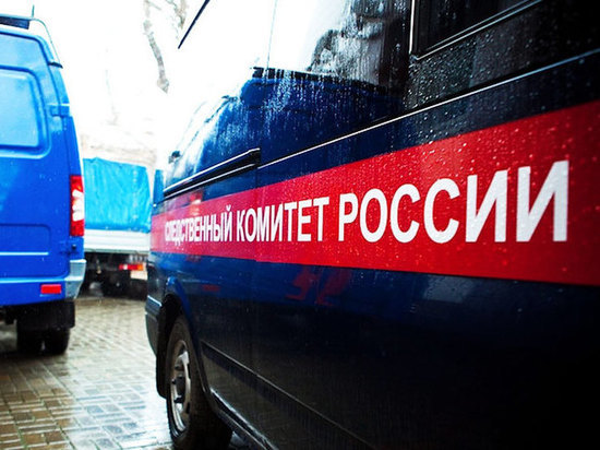 В Мордовии шестиклассница покончила жизнь самоубийством В Мордовии шестиклассница покончила жизнь самоубийством