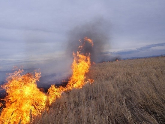Площадь пожаров в Забайкалье снова превысила 20 тыс гектаров