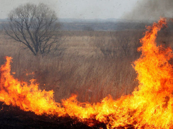 В Канашском районе горящая трава уничтожила несколько домов и автомобиль