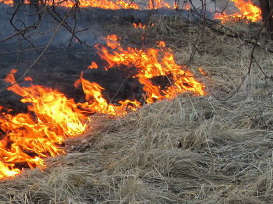 Благодаря горожанам  в Твери предотвратили несколько серьезных пожаров