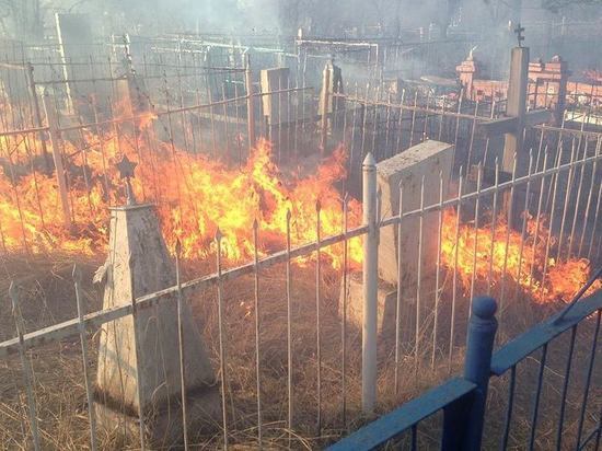Не потоп, так пожар - в Ярославле тушили пожар на кладбище