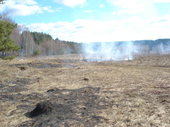 Гектар леса сгорел в Жиздринском районе