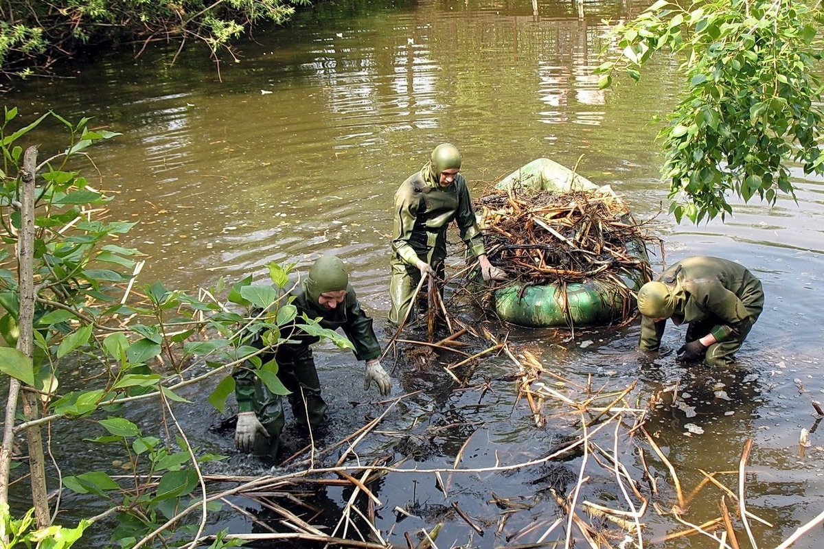 Проект очистки водоема