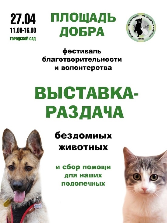 На "Площади Добра" в Твери горожанам раздадут котов