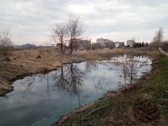 Туляки жалуются на нечистоты