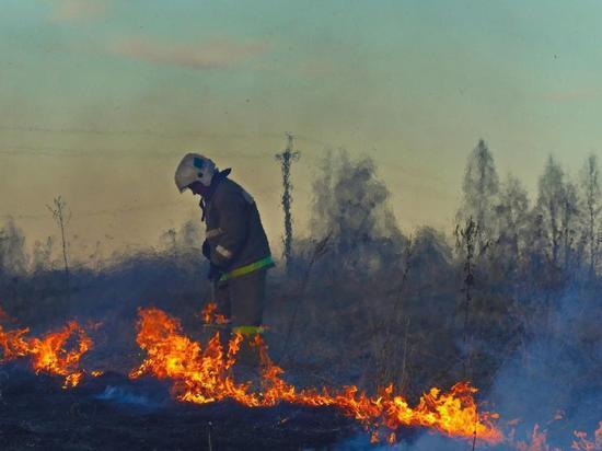 Три часа двадцать спасателей тушили лесной пожар в Ивановской области