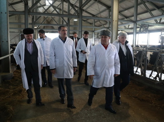 Фирменные магазины местных фермеров откроют по всей Ингушетии