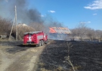 В Тогучинском районе Новосибирской области поджог травы превратился в масштабный ландшафтный пожар, который едва не стоил жизни целому поселку с населением около 900 человек