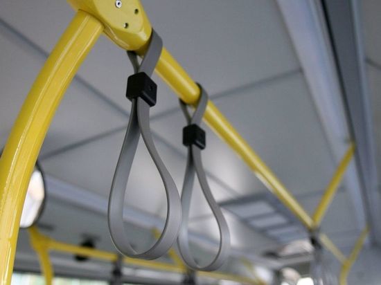 В Саранске две пассажирки троллейбуса пострадали из-за наглого водителя «Хендая»