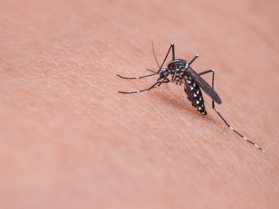 Волгоградскую область обработают от клещей и комаров