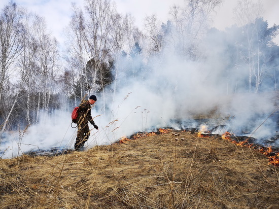 В Кузбассе произошёл первый лесной пожар