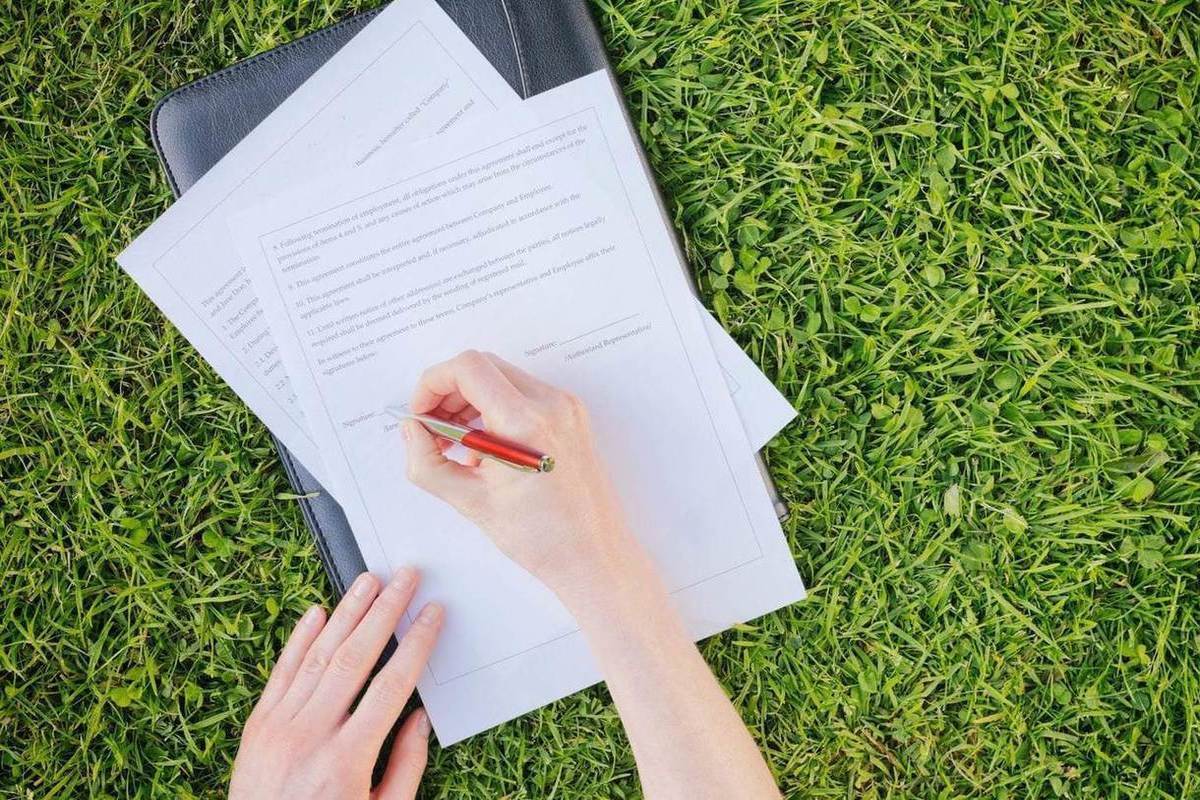 Услуга оформления земли. Земельный участок под многоквартирным домом. Земельно-имущественные отношения. Земельный участок в собственность. Услуга оформления земли.