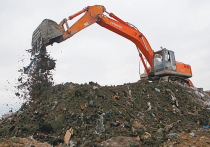 Из-за границы в Россию каждый год ввозится миллион тонн отходов для переработки
