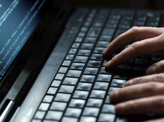 Нововоронежский хакер получил срок за кибератаку на библиотеку