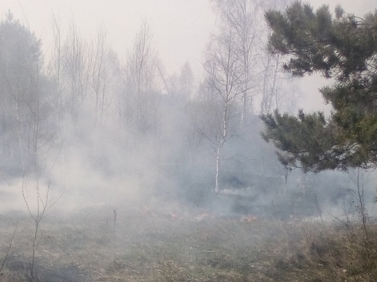 Почти 6 часов ушло на борьбу с лесным пожаром около Кирова
