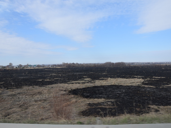 В Ульяновске горели трава, киоск и «Мерседес»