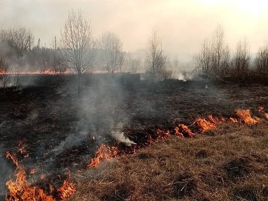 В Чувашии в сгоревшей траве нашли тело мужчины