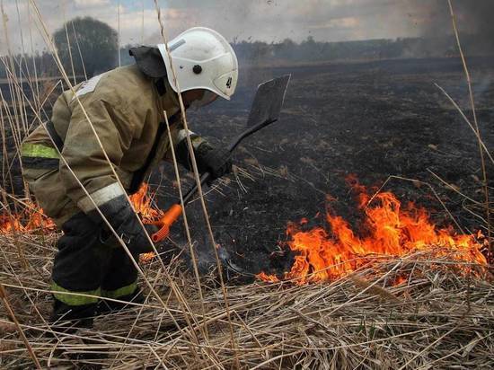 В Мордовии из-за пала сухой травы сгорели еще четыре дома
