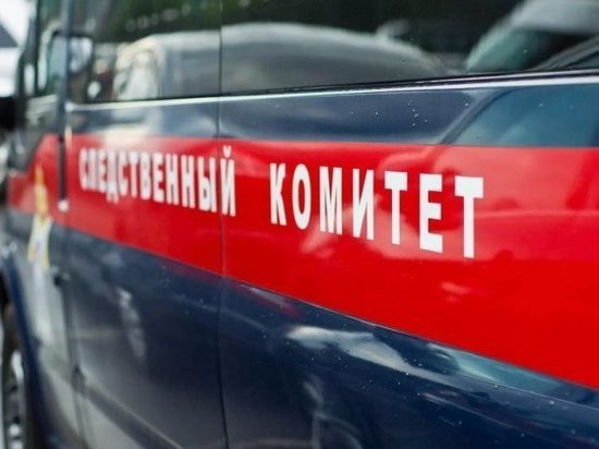 Двухлетний ребенок, брошенный в печь дедом, умер в омской больнице Двухлетний ребенок, брошенный в печь дедом, умер в омской больнице