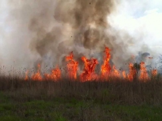 Огонь в Ульяновске остановили в 1,5 метрах от домов поселка Плодовый