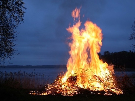 14 лесных пожаров зафиксировано в Псковской области за минувшие сутки