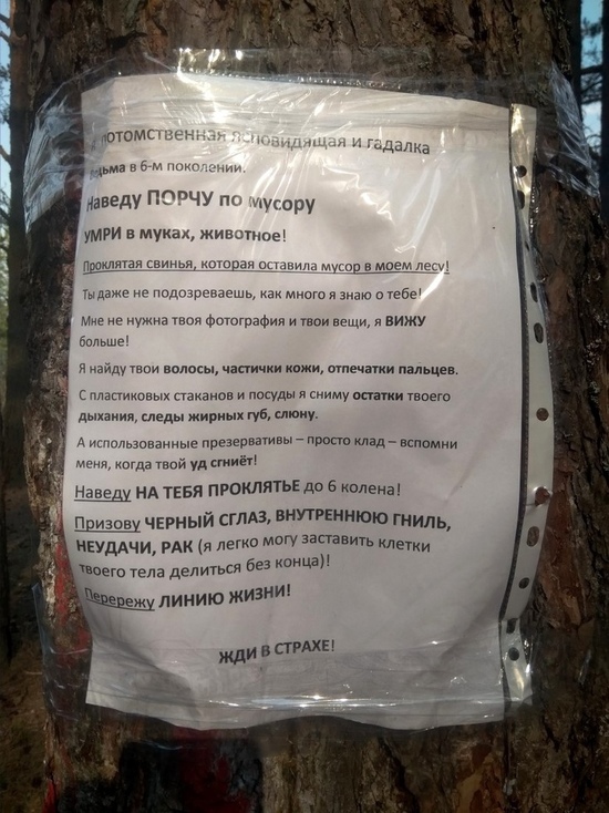 Ведьма обещает проклясть тех, кто мусорит в Тверской области