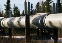 Компания "Транснефть" распространила заявление, в котором сообщается, что загрязнение нефти в трубопроводе "Дружба" было умышленным