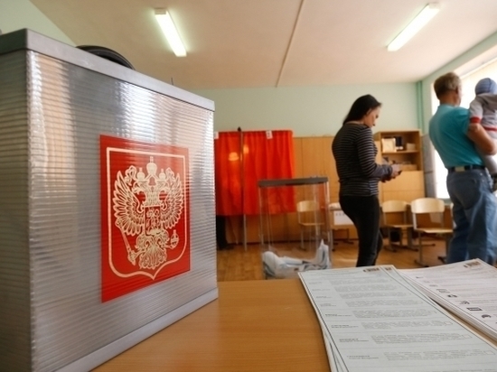 Для волгоградцев в Москве откроют 30 «цифровых участков» на выборах