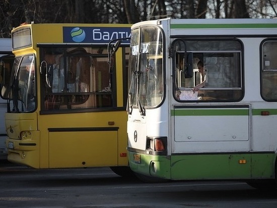 Движение автобусов Пскова теперь можно отследить в приложениях «Яндекса»