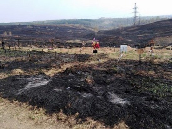 Стали известны детали пожара на Алексинском кладбище