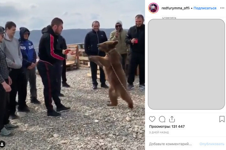 В сети появилось видео того, как Хабиб Нурмагомедов бьет медвежонка