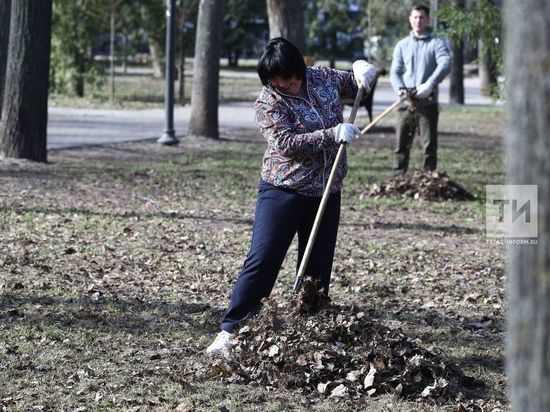 Жителям Казани раздадут 40 тыс. мусорных пакетов для уборки на могилах