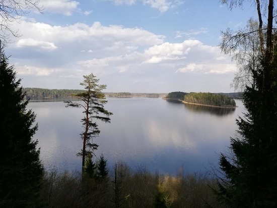 30 апреля в Смоленской области ветрено, до +16 тепла