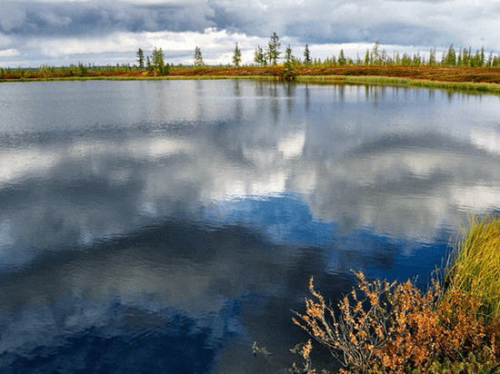 На озере в Тазовском районе будут разводить чира
