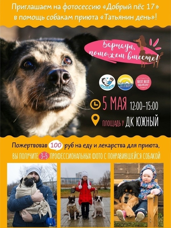 Акцию «Добрый пес» в помощь приютам для животных проведут в Барнауле