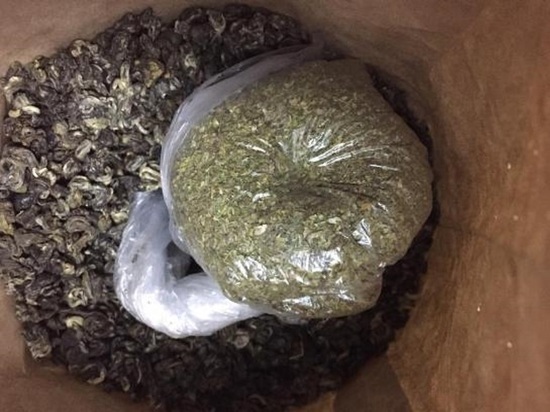 В Краснодаре заключённым пытались передать марихуану под видом зелёного чая