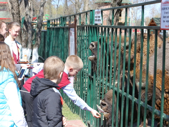 В нижегородском зоопарке «Лимпопо» после реконструкции открылась первая площадка