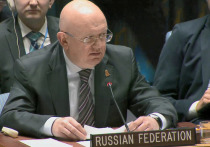 Как отметил постпред РФ при ООН Василий Небензя, западным странам не стоит своими санкциями усугублять гуманитарную ситуацию в Сирии